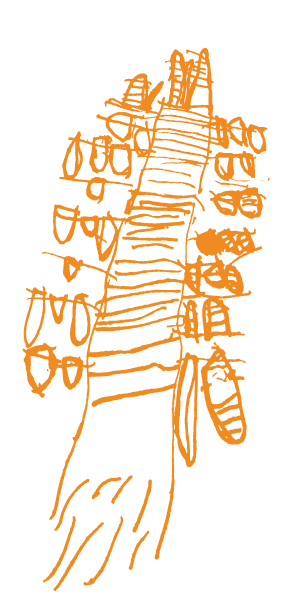 AREA_WebsiteBanners_20226